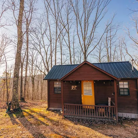 Cozy Tiny Cabin Getaway W/ Views